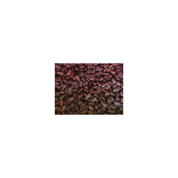 FORLIVE Fave di cacao in granella Bio