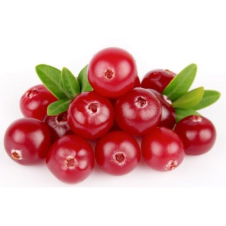 FORLIVE Bacche di Cranberry (mirtillo rosso) Bio