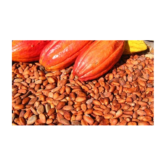 FORLIVE Fave di cacao in granella Bio
